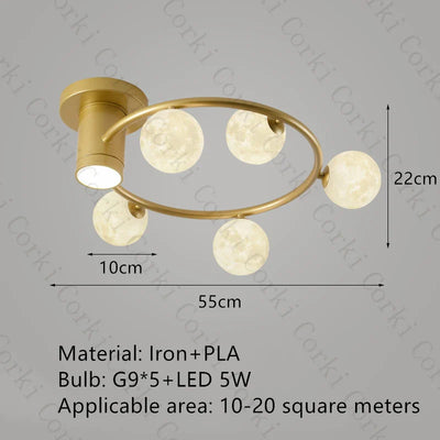 https://cdn.shopify.com/s/files/1/2499/8120/files/Hd42f720534b94a31b3c20fc9e6980cd78.webp?v=1732791526