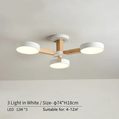 https://cdn.shopify.com/s/files/1/2499/8120/files/S0e3e407532f8446892ffe61e6ee86b25G.webp?v=1700149542