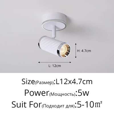 https://cdn.shopify.com/s/files/1/2499/8120/files/S20ec8e48e6e34a048993953b889f1d9ec.webp?v=1722931316