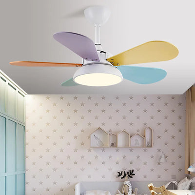 https://cdn.shopify.com/s/files/1/2499/8120/files/S295a617cd4af4012818c15a83fe9bb6aJ_1a43d67e-f5de-403c-ba90-638efab832f1.webp?v=1722256176