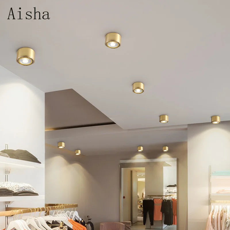 https://cdn.shopify.com/s/files/1/2499/8120/files/S37453794ff6f4bf080689c8353d0f95dA.webp?v=1722764020