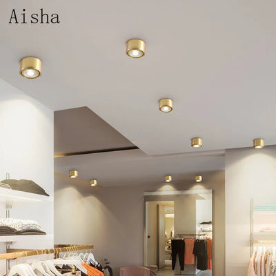 https://cdn.shopify.com/s/files/1/2499/8120/files/S37453794ff6f4bf080689c8353d0f95dA.webp?v=1722764020