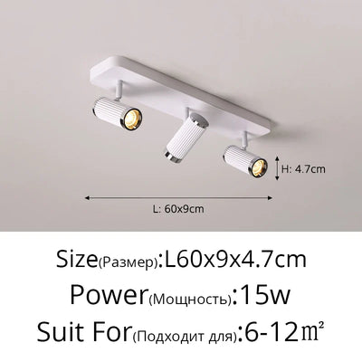 https://cdn.shopify.com/s/files/1/2499/8120/files/S3dc725084e0e493cbc587e66017e4e006.webp?v=1722931316