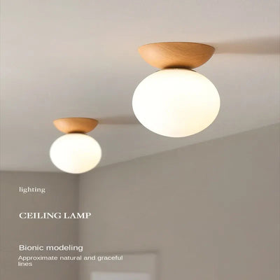 https://cdn.shopify.com/s/files/1/2499/8120/files/S3ded229ec83d4c0dbc9bd0f9ca82b7319.webp?v=1704305727