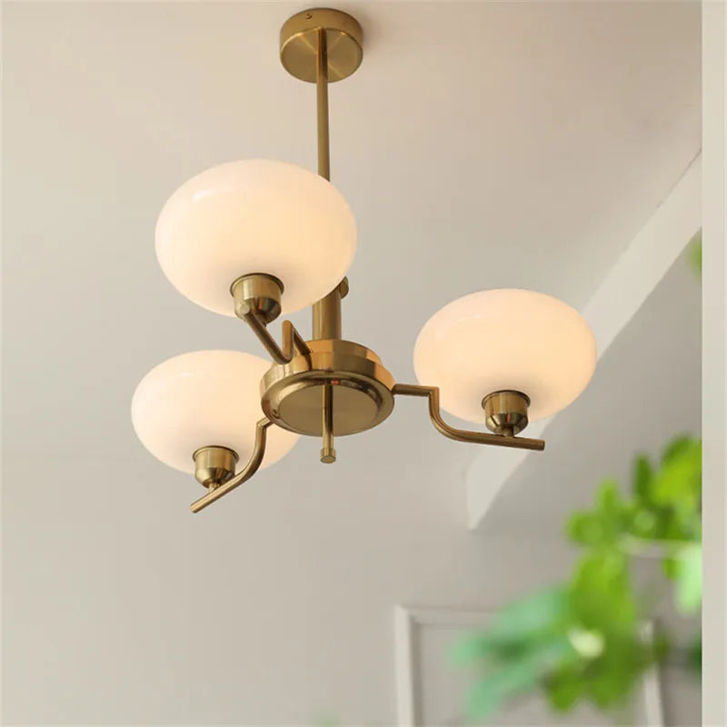https://cdn.shopify.com/s/files/1/2499/8120/files/S9d0b2cdc25634a93b7fd697289b0863cN_39e69fdc-440a-4fef-808b-7b077afe2d07.webp?v=1736412649