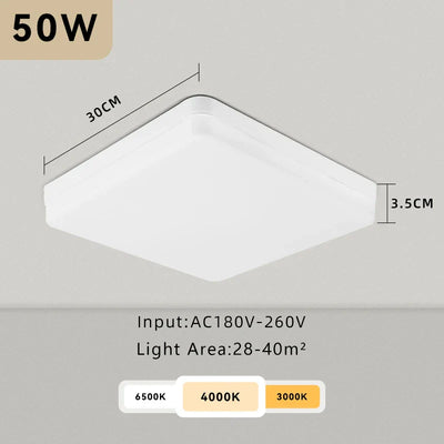 https://cdn.shopify.com/s/files/1/2499/8120/files/S5745f8bcac0643fc80f6ef26206fa463u_6f0ddbbd-40c9-4d49-a24b-07669d7b87ff.webp?v=1726999769