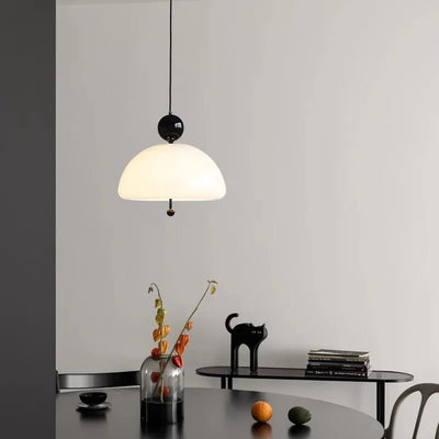 https://cdn.shopify.com/s/files/1/2499/8120/files/S6d8fff833fa849f3a271671c629b5aedw.webp?v=1706260600