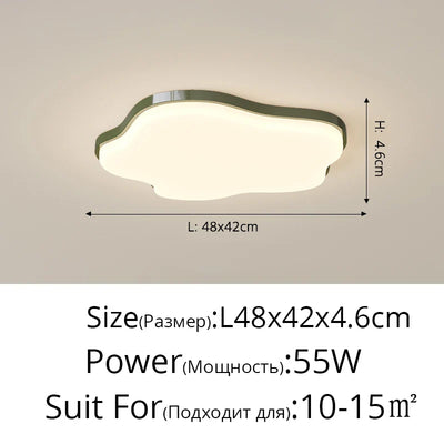 https://cdn.shopify.com/s/files/1/2499/8120/files/S87980b06bcd14ecf946fb1ddf609cb31S.webp?v=1737161833