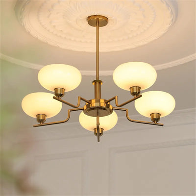 https://cdn.shopify.com/s/files/1/2499/8120/files/S9d0b2cdc25634a93b7fd697289b0863cN_39e69fdc-440a-4fef-808b-7b077afe2d07.webp?v=1736412649