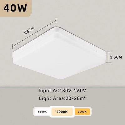 https://cdn.shopify.com/s/files/1/2499/8120/files/Sab9d8d9e5e714224b68a12f61a830f36r_70b593b2-9f8e-45d3-8bc1-4bf450c689bf.webp?v=1726999768