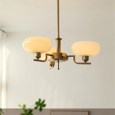 https://cdn.shopify.com/s/files/1/2499/8120/files/Sb93310d96db44b4e9408aea17aa8a90cT_443cda2a-3a90-4382-aa3e-b9c156bff189.webp?v=1736412649