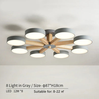 https://cdn.shopify.com/s/files/1/2499/8120/files/Sc2fed975a5354b6f957d4b5d9fab7dd75.webp?v=1700149543