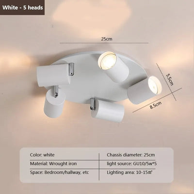 https://cdn.shopify.com/s/files/1/2499/8120/files/Sc62590c6480947a78eb55d8103b9766bm.webp?v=1708953286