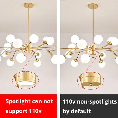 https://cdn.shopify.com/s/files/1/2499/8120/files/Sc83a07dcb5844c378b96c190e342f662P.webp?v=1722499122