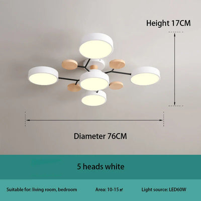https://cdn.shopify.com/s/files/1/2499/8120/files/Sd5e81a5524a1479482e7767664f000180.webp?v=1700149494