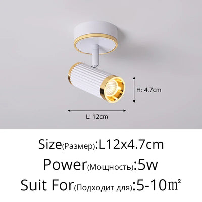 https://cdn.shopify.com/s/files/1/2499/8120/files/Sdcca098e871c44d8ac030bb77b17f2eam.webp?v=1722931317