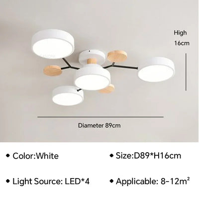 https://cdn.shopify.com/s/files/1/2499/8120/files/Sddb9699e4ddb4575b6fcece9ac22bd0eh.webp?v=1723022253