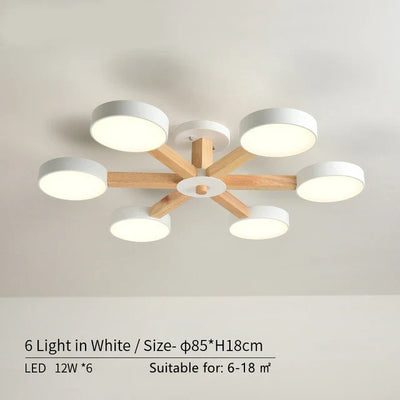 https://cdn.shopify.com/s/files/1/2499/8120/files/Seddbb9d3a8e8481da89d3128fa39812fe.webp?v=1700149543