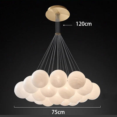 https://cdn.shopify.com/s/files/1/2499/8120/files/Seea8f3a9d17347258e4f758d41a726dds_3518222c-b5c2-435e-bd94-b45f599499ea.webp?v=1711043593