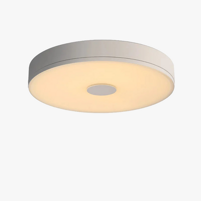 https://cdn.shopify.com/s/files/1/2499/8120/files/aisilan-modern-ultra-thin-led-ceiling-lights-dustproof-36w-ceiling-lamps-for-living-room-bedroom-kitchen-dining-room-5.png?v=1704972607
