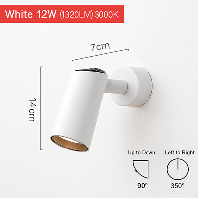 https://cdn.shopify.com/s/files/1/2499/8120/files/applique-spot-led-orientable-parsimony-1.png?v=1773460416