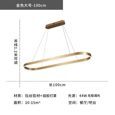 https://cdn.shopify.com/s/files/1/2499/8120/files/lustre-led-minimaliste-moderne-nordique-long-design-d-coration-5.jpg?v=1719255835