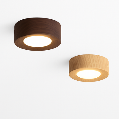 https://cdn.shopify.com/s/files/1/2499/8120/files/plafonnier-en-bois-design-lumineux-pour-d-coration-int-rieure-l-gante-0.png?v=1773484249