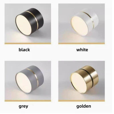 https://cdn.shopify.com/s/files/1/2499/8120/files/plafonnier-led-design-nordique-moderne-dimmable-pour-int-rieur-1.jpg?v=1730479859