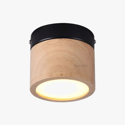 https://cdn.shopify.com/s/files/1/2499/8120/files/plafonnier-led-en-bois-nordique-moderne-pour-int-rieur-design-5.png?v=1725612558