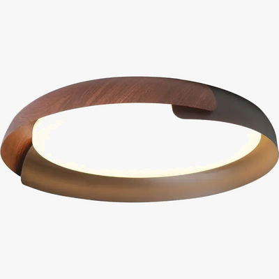 https://cdn.shopify.com/s/files/1/2499/8120/files/plafonnier-ronde-cr-ative-pour-chambre-coucher-4.png?v=1705867768